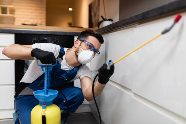 Best Wildlife Control Services  in Thatcher, UT