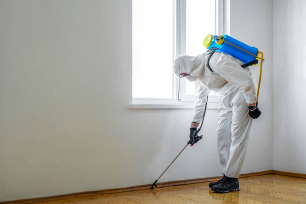 Best Emergency Pest Control  in Thatcher, UT