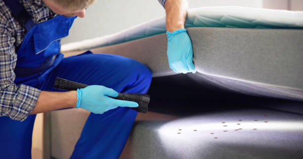 Best Best Pest Control Companies  in Thatcher, UT