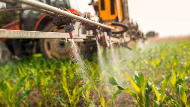 Best Commercial Pest Control Services  in Thatcher, UT